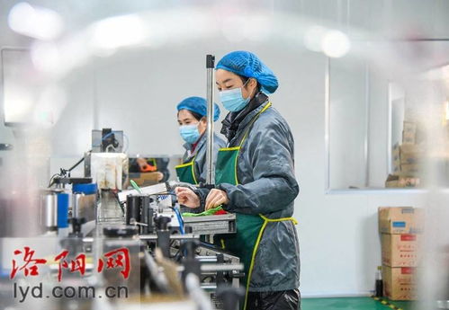 返乡青年创办企业 农产品香飘振兴路