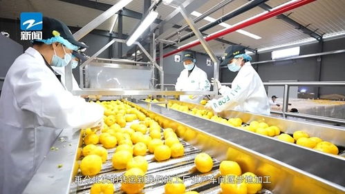 双柚飘香促共富 柚香谷双柚汁入选浙江省首批“263共富农产品”