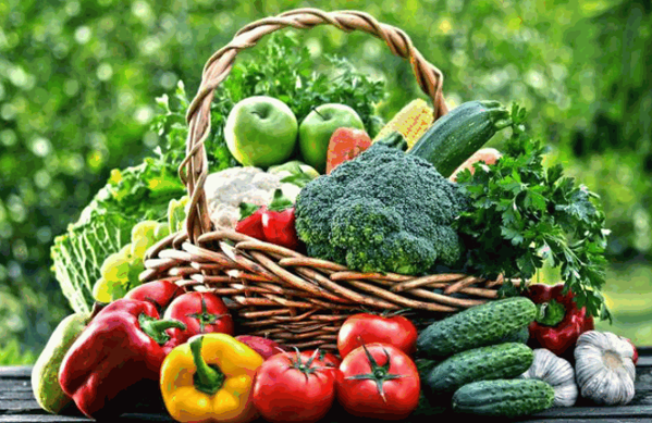 信惠农产品 以诚信与品质，守护舌尖上的安全